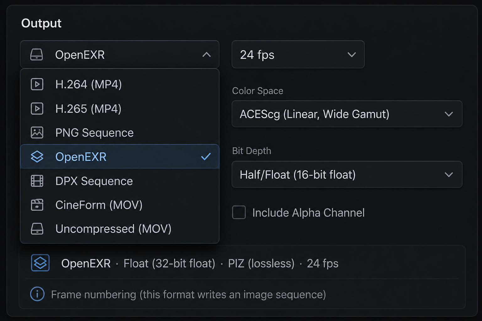 Transduce Output panel — format menu open showing H.264, H.265, PNG Sequence, OpenEXR, DPX Sequence, CineForm, and Uncompressed